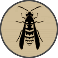 ico bees wasps