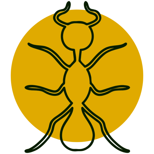 Ants 1