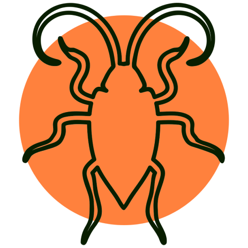 Cockroaches 1