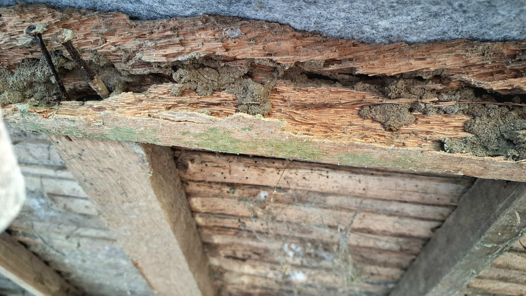 a section of a wood structure that has been badly damaged by termites in a building in need of commercial termite control service