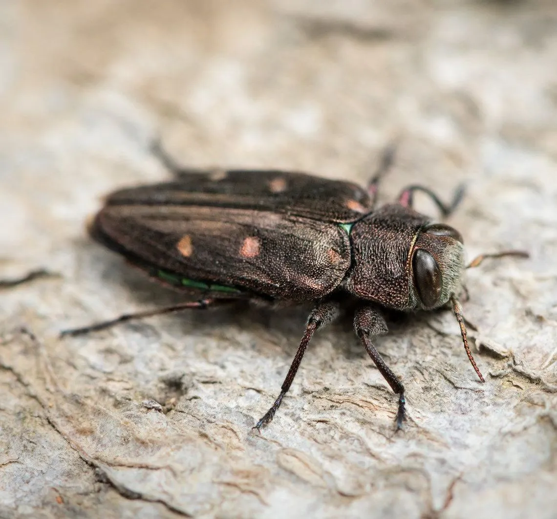 Photo1 2023 11 30T233315.850 1920w