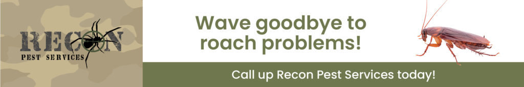 How to Get Rid of Roach Nests in Stoves: 5 Proven Tips 1 Recon CTAs 1200x200 Roaches 1024x171 6