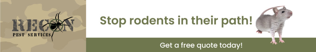 Finding the Best Rat Repellent for Your Home 1 Recon CTAs 1200x200 Rodents 1024x171 5