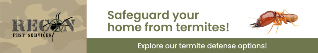 Recon CTAs 1200x200 Termites 1024x171 4
