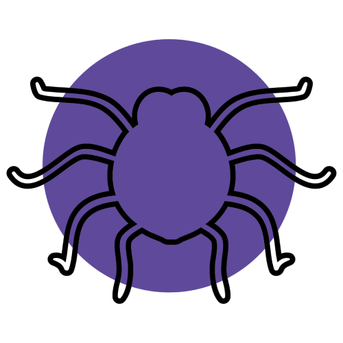 Spiders 1