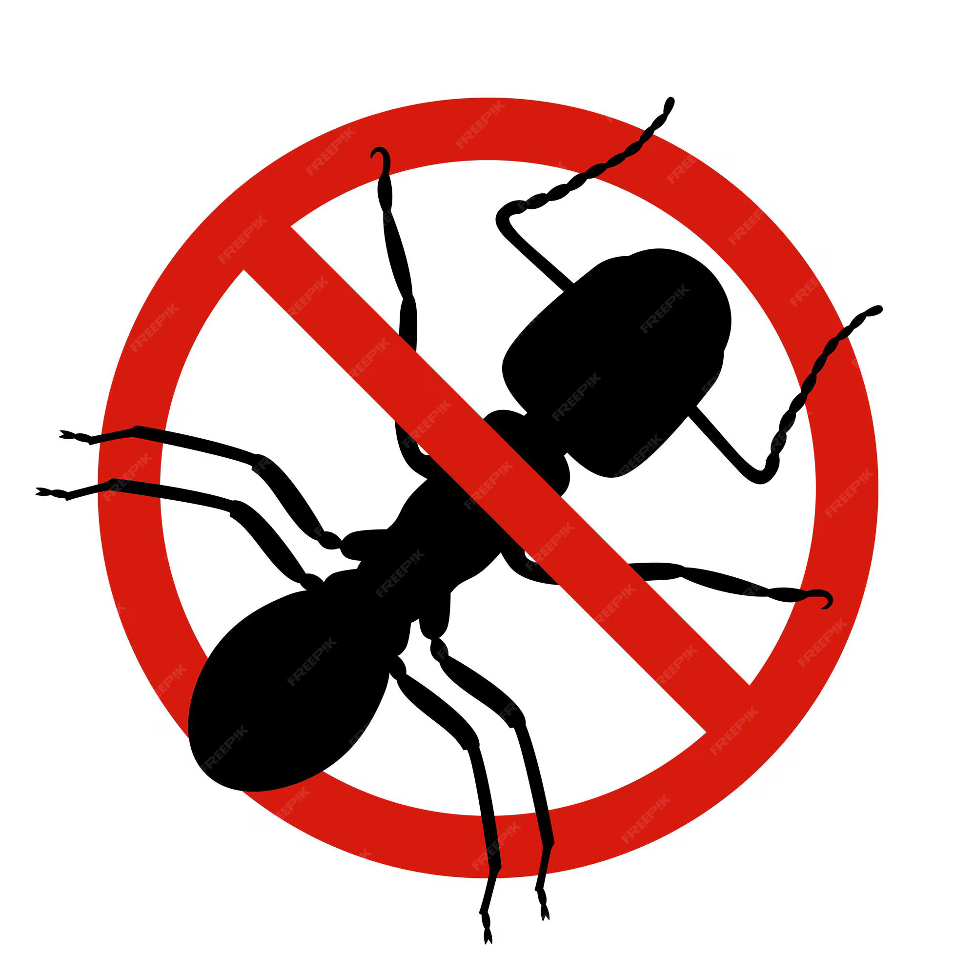 anti ants pest control stop insects sign silhouette ant red forbidding circle vector illsutration 263366 634 ezgif.com avif to jpg converter