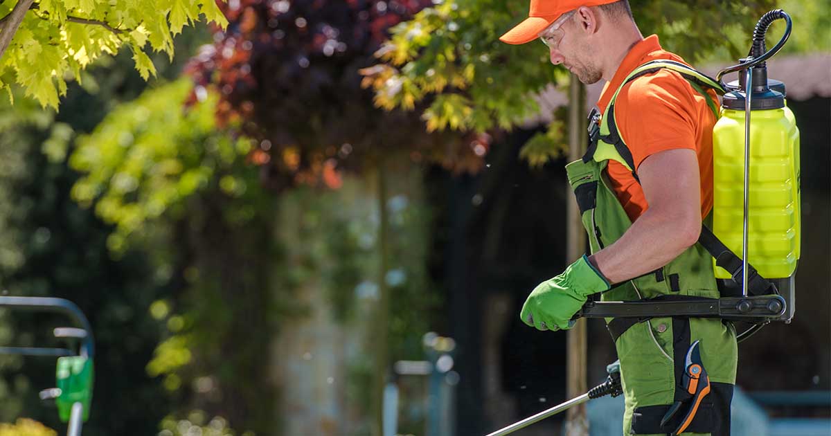Centipede Exterminator | Centipede Control Services