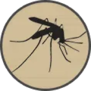 ico mosquitoes