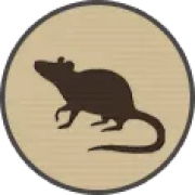 ico rats mice