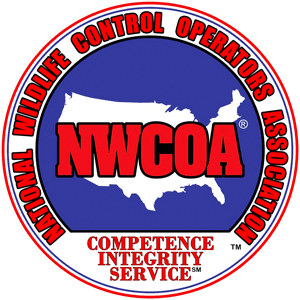 nwcoa.2402151327550