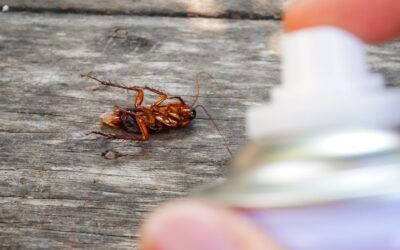 Protect Your Home: A Comprehensive Guide to Pet Safe Roach Killers