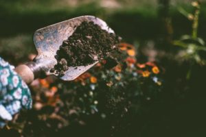 Garden spade full of soil in front of a flower garden